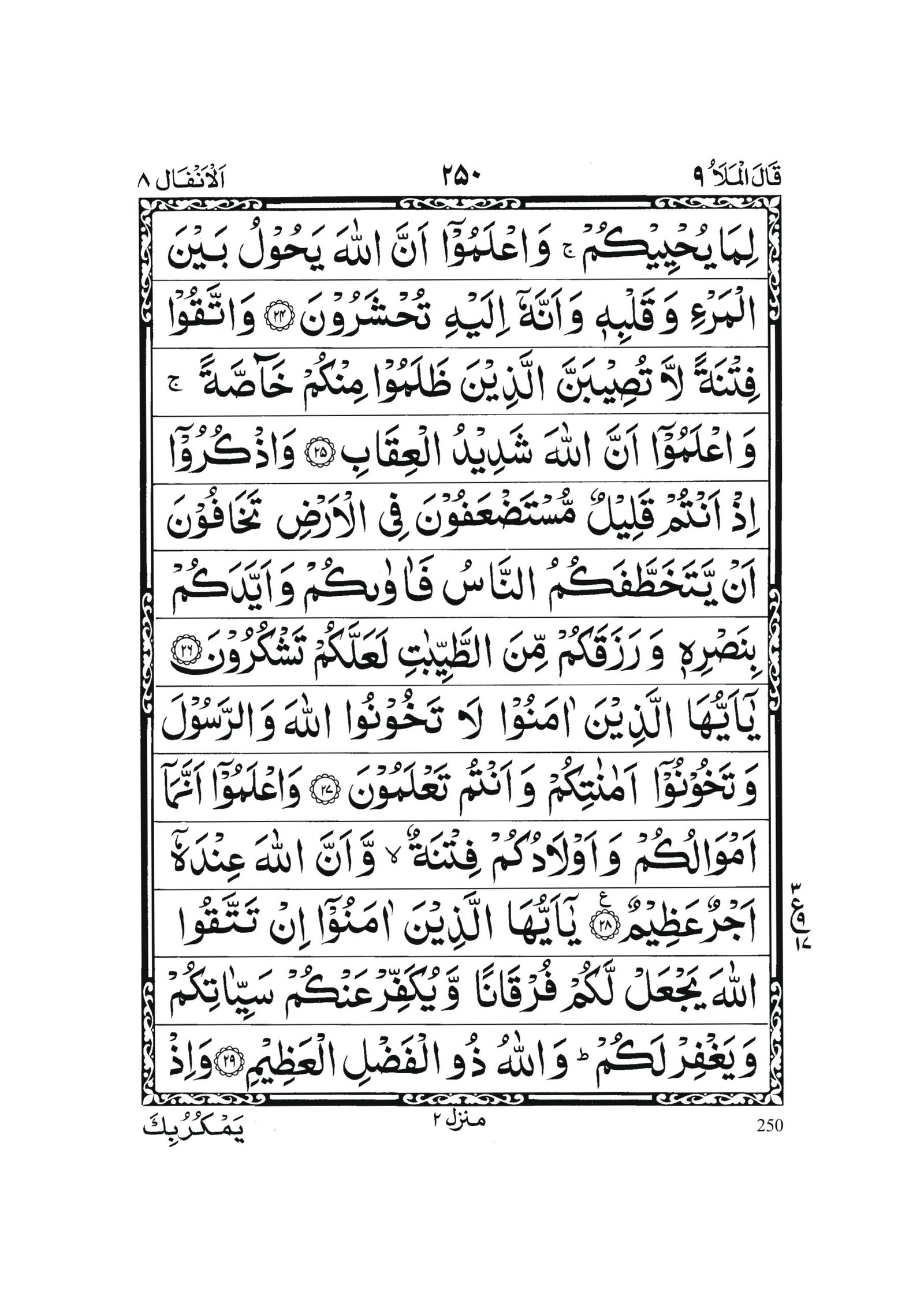 Surah Al Anfal in Quran 0249 