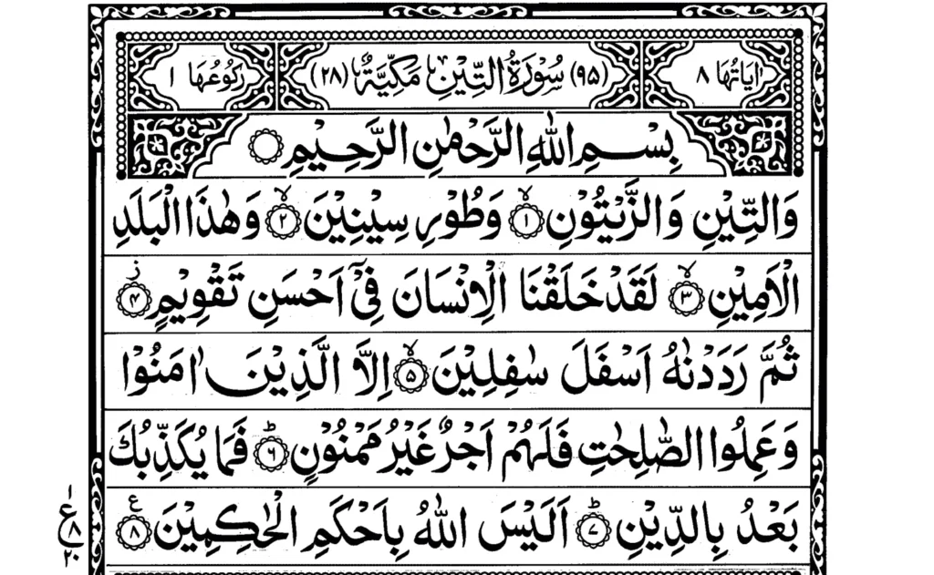 Surah At Tin Ayat 1 to 8